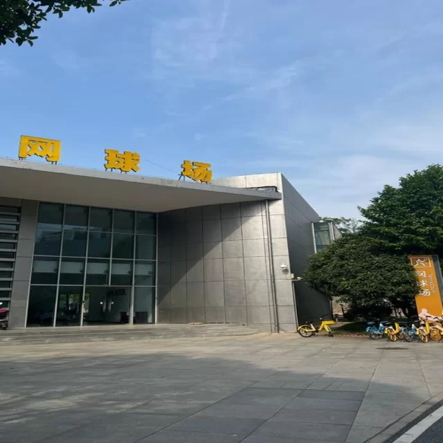 乒乓球冠军竞争格局的深度分析与数据全景探秘